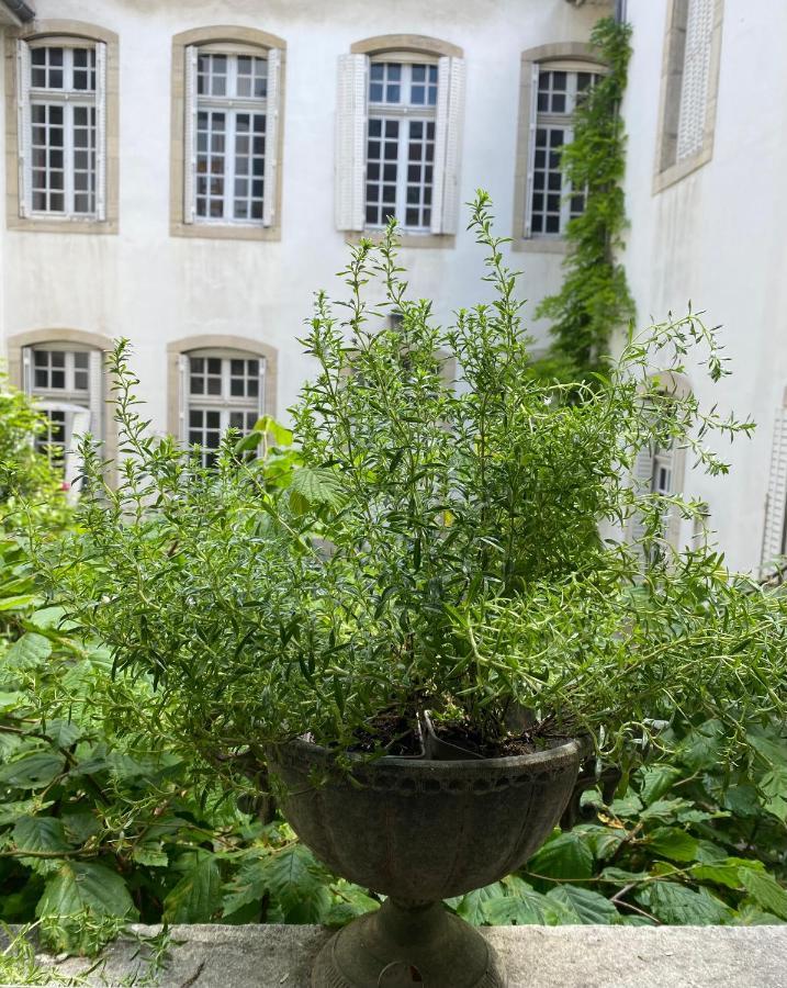 L'Appartement By Merveilles De Marie Lons-le-Saunier Bagian luar foto